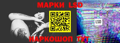 индика Дубна