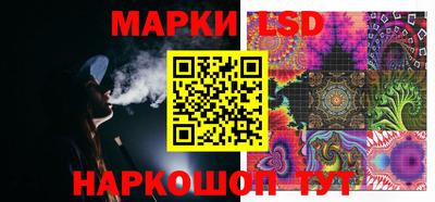 индика Дубна
