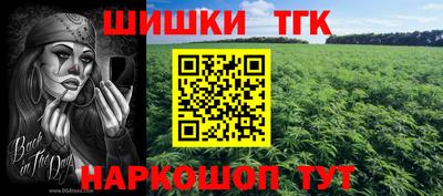 индика Дубна