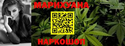 индика Дубна