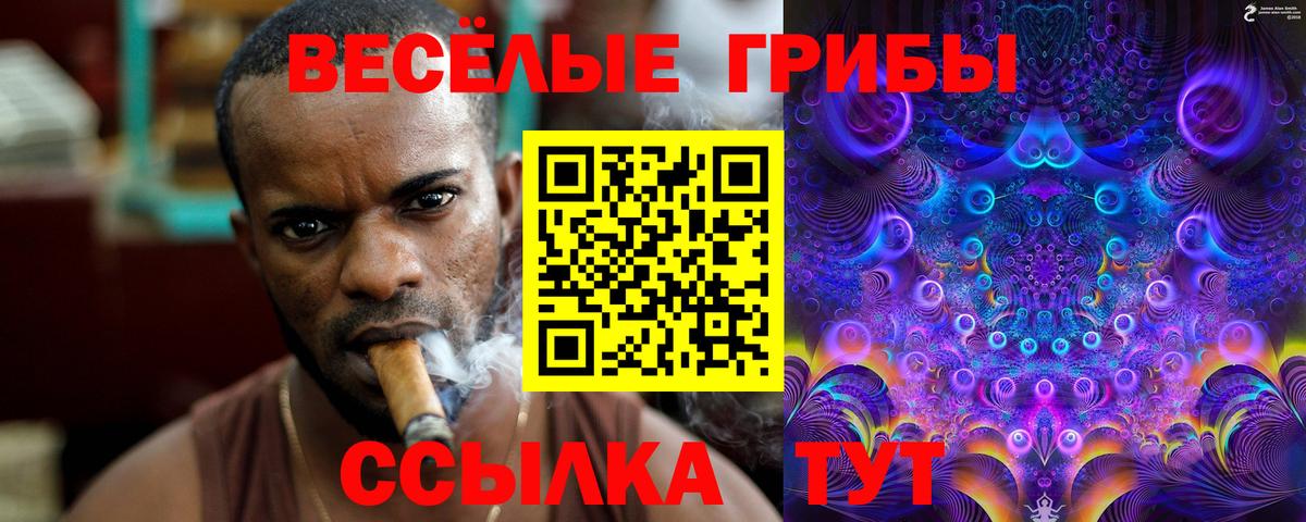 Галлюциногенные грибы MAGIC MUSHROOMS Минеральные Воды
